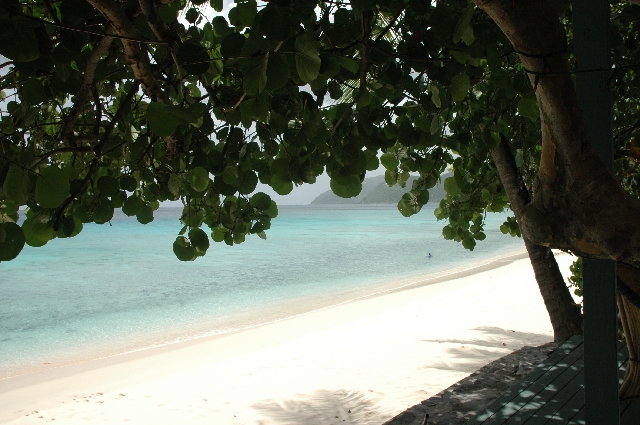 I must have taken this picture ten times 